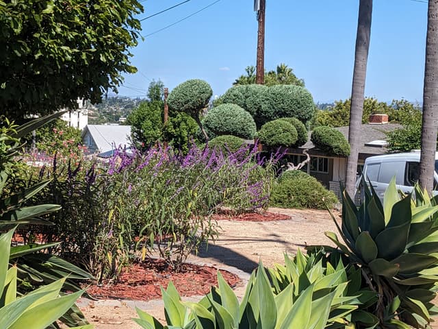 Picture of a beautifully remodeled garden 