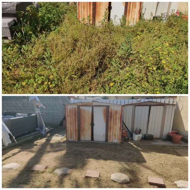before and after picture of a yard and gardening cleanup project