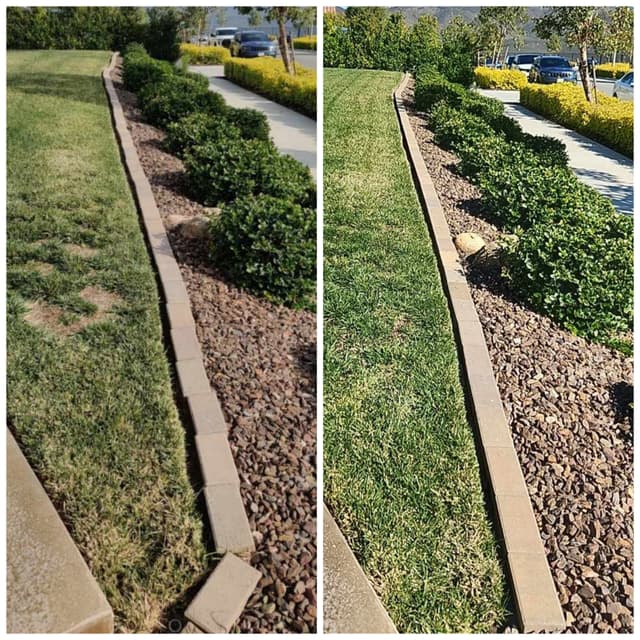 before and after picture of a gardening project 