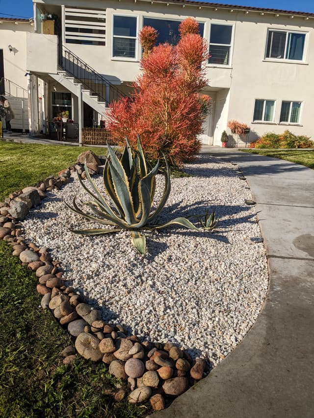 picture of a freshly landscaped front yard of an apartment complex