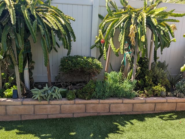 newly remodeled backyard featuring retainer with trees and brush