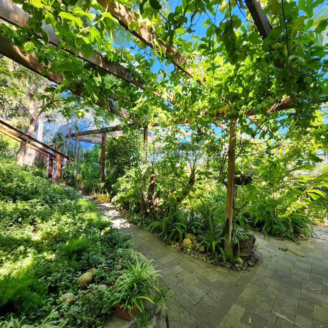 picture of a beautiful backyard garden 