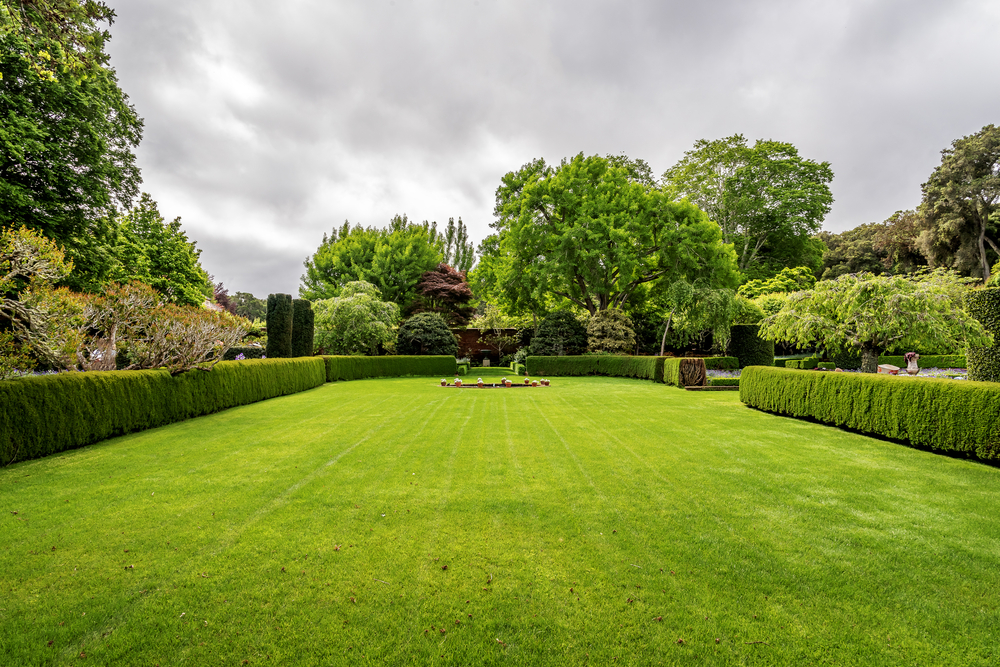 Large Yard