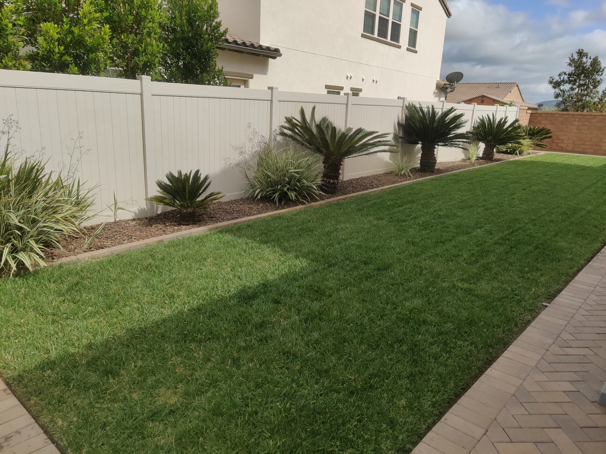Medium Yard
